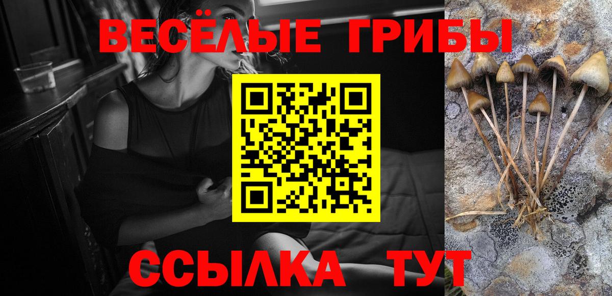 Псилоцибиновые грибы прущие грибы Псков