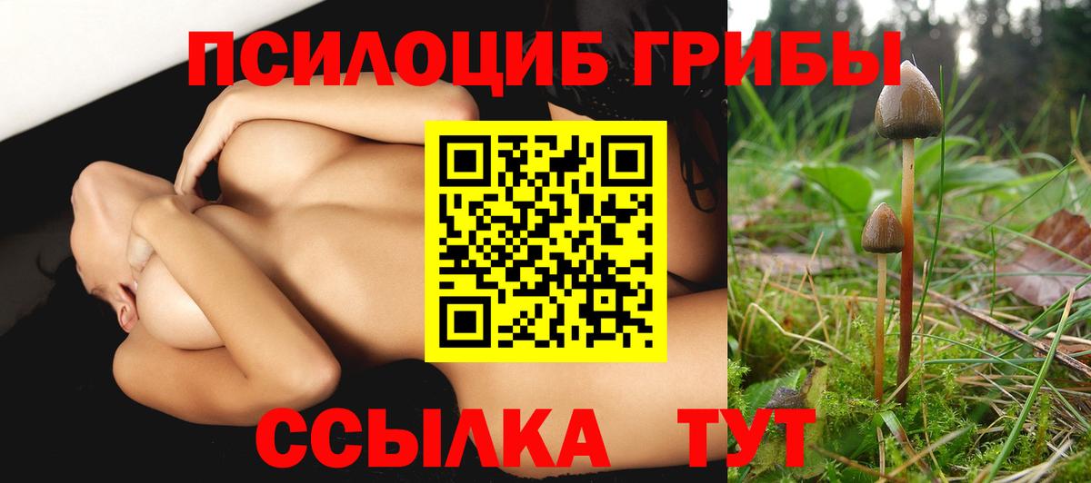 Псков  Псилоцибиновые грибы Psilocybe  Вход с VPN 